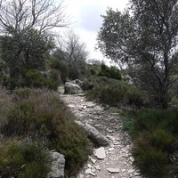 Photo de france - La randonnée du Mont Caroux